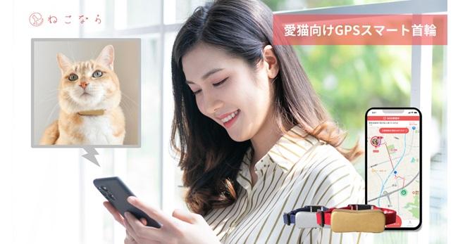 ねこねこさん専用。写真・商品説明ご確認お願いします マナーウェア ねこ用 SSサイズ 40枚 : ペットゴー ヤフー店