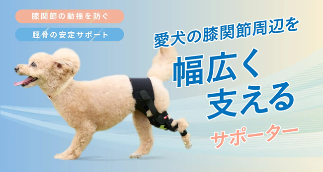 犬用膝サポーターでペットのQOL向上へ！株式会社anifull、オーダーメイドから進化した製品をMakuakeで先行販売開始 | ニュース |  EDUONE MEDIA／エデュワードプレスの獣医療情報サイト