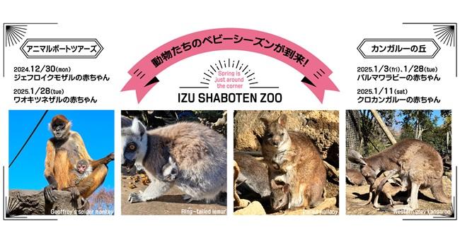 伊豆シャボテン動物公園で、動物たちのベビーシーズンが到来