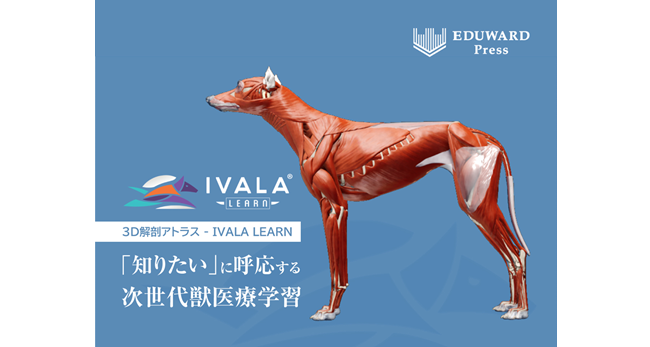 3D解剖アトラス「IVALA LEARN」、 全国の獣医療系学生を対象に無料提供開始